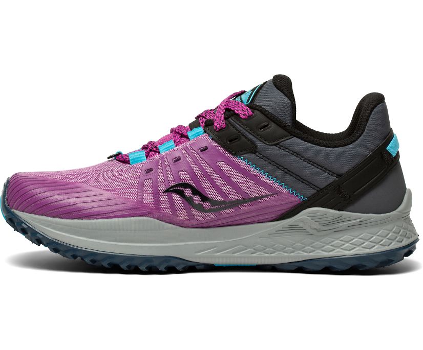 Saucony Mad River Tr 2 Women's Trail Running Shoes Purple / Grey | Canada 225JPQJ